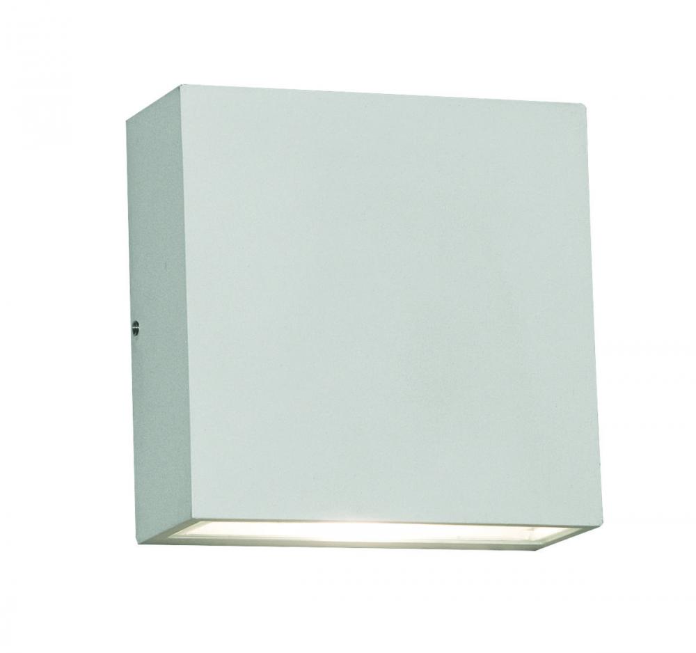 Dexter 2 Light LED Outdoor Sconce