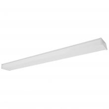 AFX Lighting, Inc. SPRL052424LAJMV - SPRING LINEAR LED 25W 2500lm 120-277V