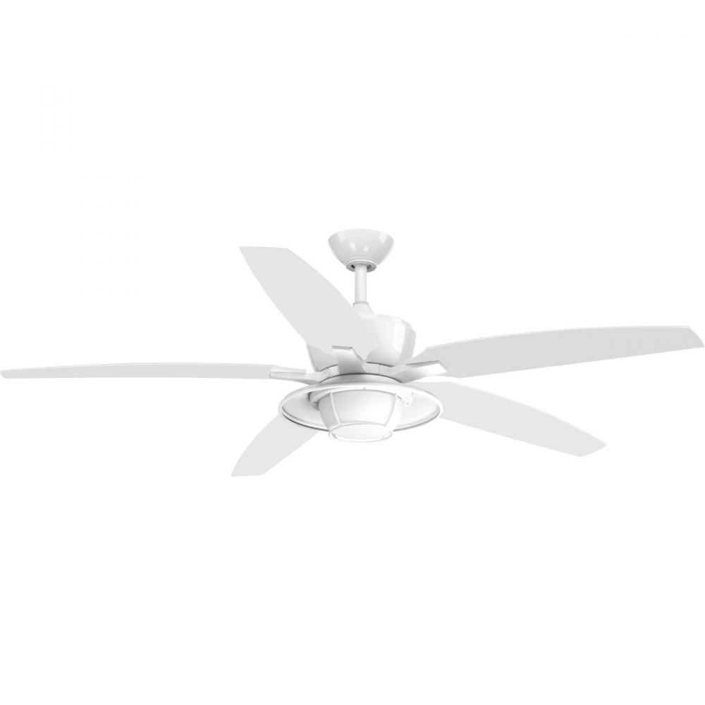 Montague Collection 60" Indoor/Outdoor Five-Blade Ceiling Fan