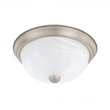 Capital 219021MN - 2 Light Flush Mount