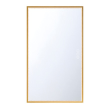 Eurofase 48097-024 - Cerissa 54" Rectangular Mirror in Gold