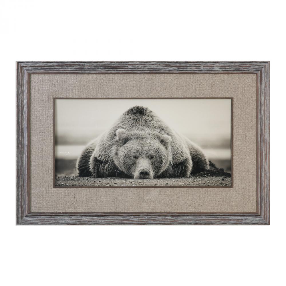 Deep Sleep Bear Print