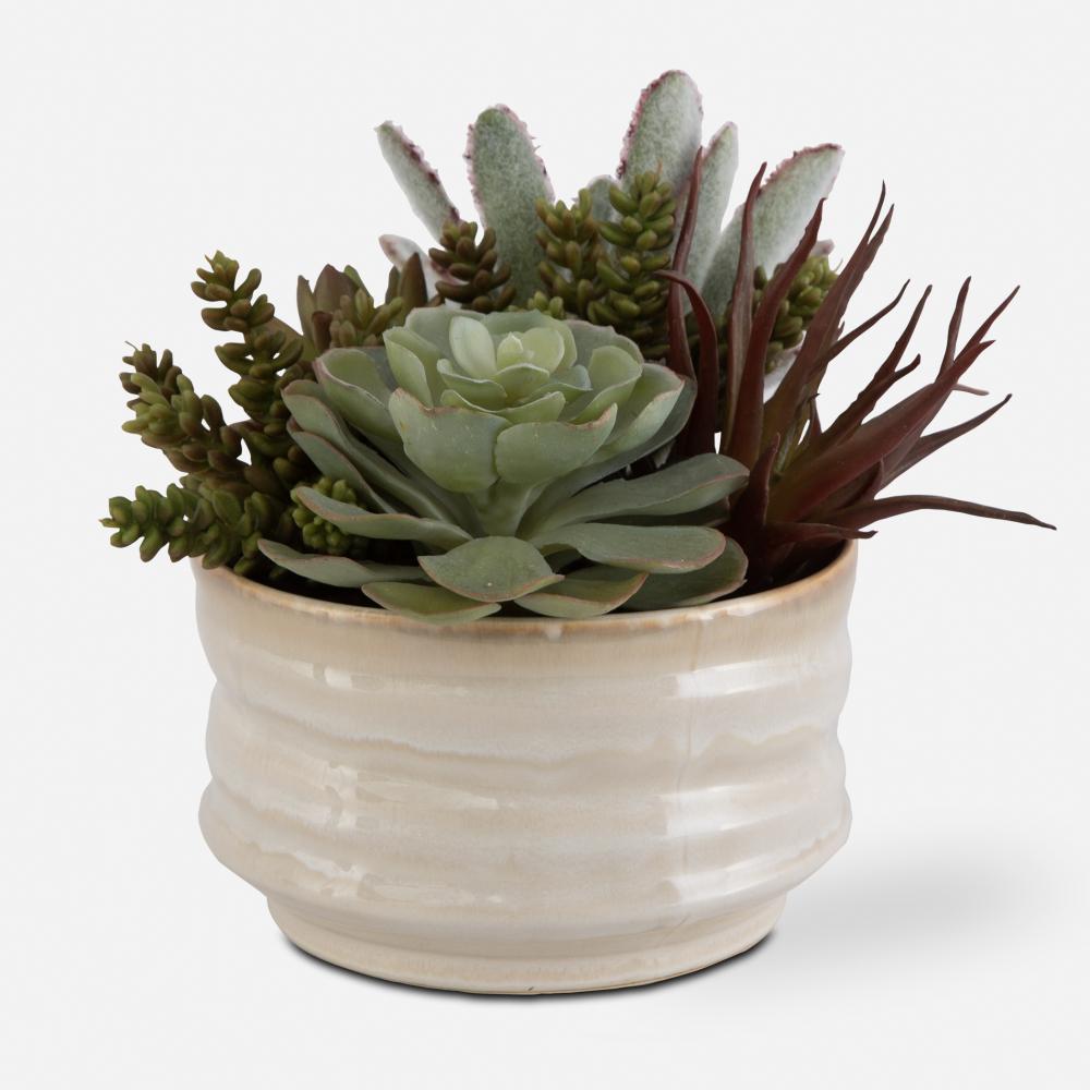 Mesa Succulent Accent