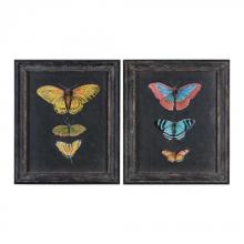 BUTTERFLIES ON SLATE