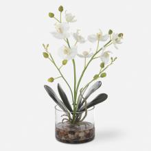 Uttermost 60201 - Glory Orchid