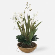 Uttermost 60039 - Moth Orchid Planter