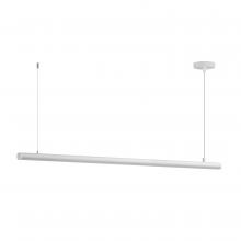 ET2 E26004-90WT - Continuum-Linear Pendant